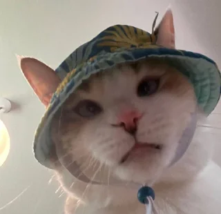 Sticker котолізація - 8