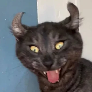 Sticker котолізація - 9