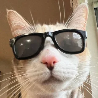 Sticker котолізація - 7