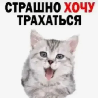 Sticker Тиктак - 6