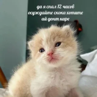 Sticker Тиктак - 1