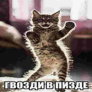 Sticker Тиктак - 5