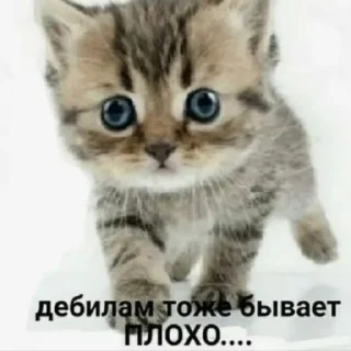 Sticker Тиктак - 2