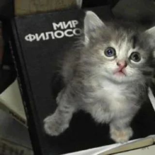 Sticker Тиктак - 11