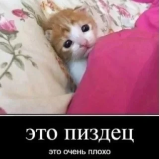 Sticker Тиктак - 9