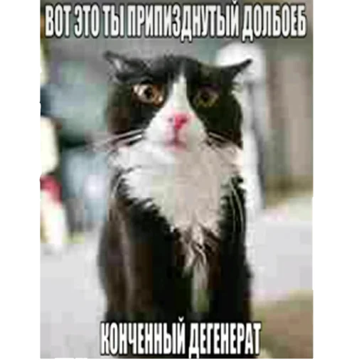 Ненадо ☕🎞️🎥🎬🎟️🍿🎪🐈🍂 - 