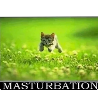 Sticker Ненадо ☕🎞️🎥🎬🎟️🍿🎪🐈🍂 - 6