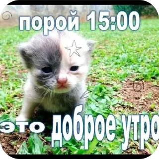 Sticker Ненадо ☕🎞️🎥🎬🎟️🍿🎪🐈🍂 - 1