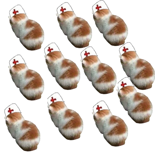 пища закуска хлеб