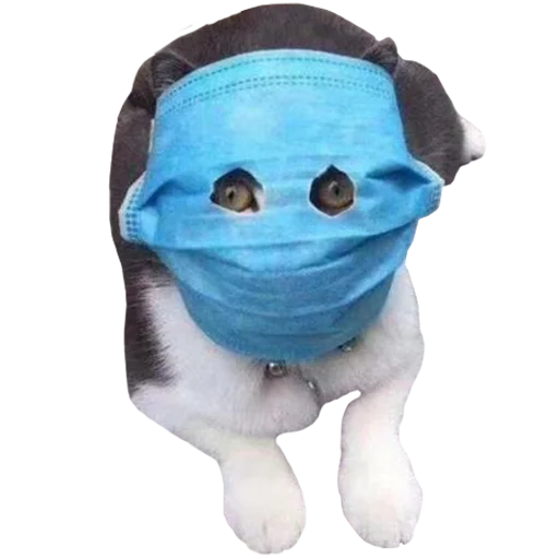 игрушка фигура животного мультфильм