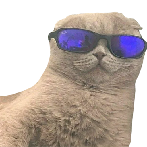 Очки очки очки