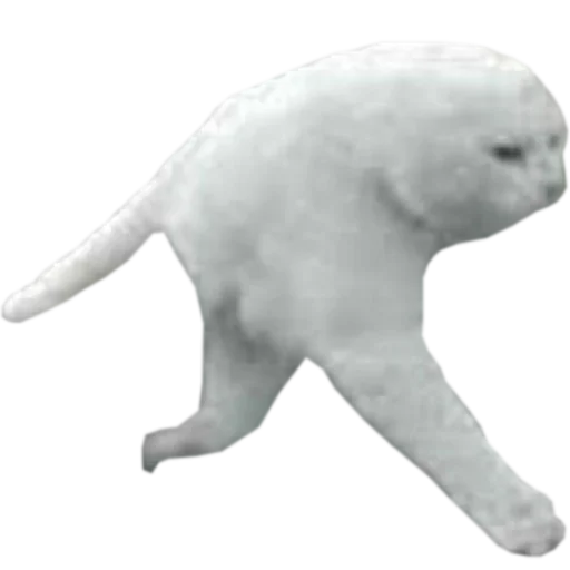 млекопитающее медведь фигура животного