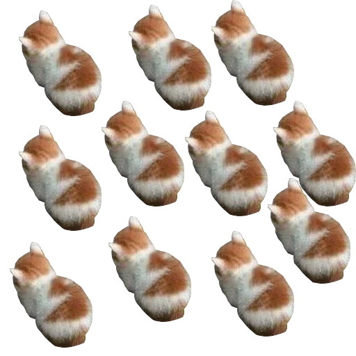 пища закуска