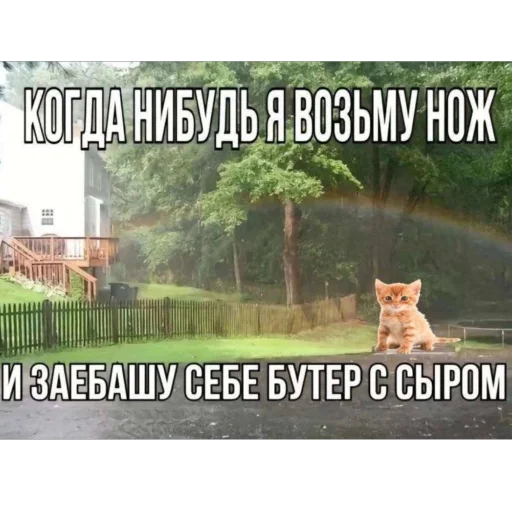 Стикер kotturist - 1