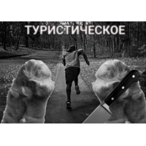 Sticker kotturist - 1