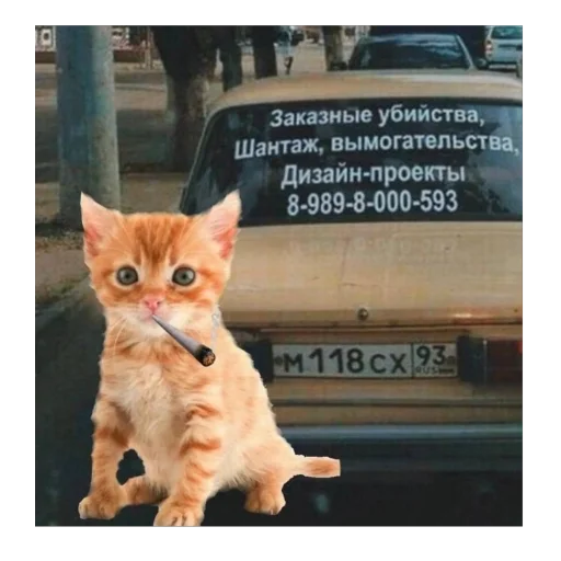 Стикер kotturist - 1