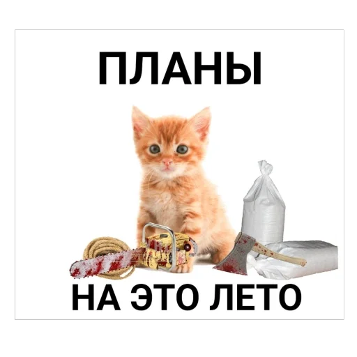 Стикер kotturist - 1