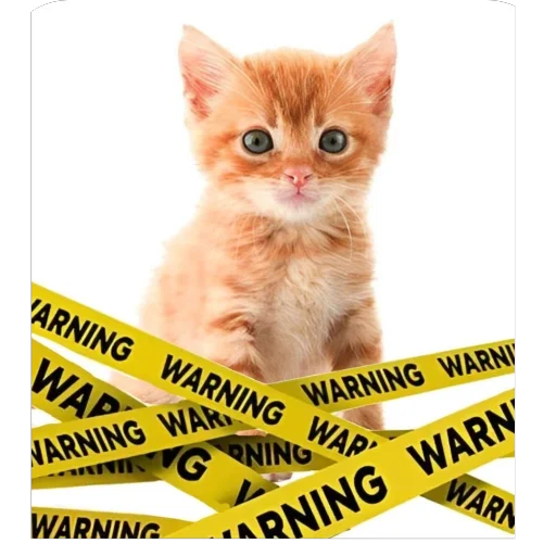 Sticker kotturist - 1