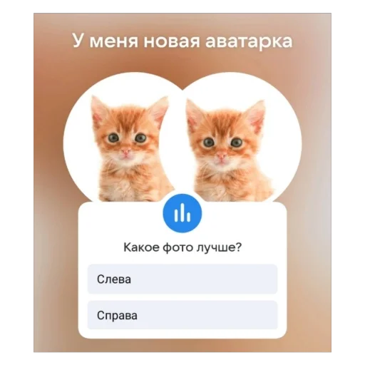 Sticker kotturist - 1