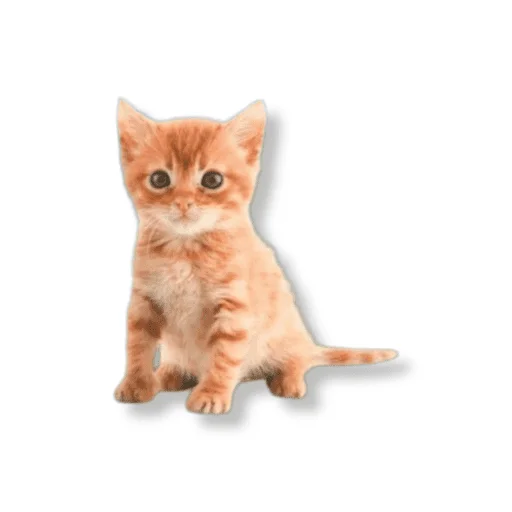 туристическое @pron21plus - 