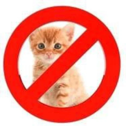 Sticker kotturist - 1