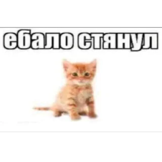 Sticker туристическое @pron21plus - 8