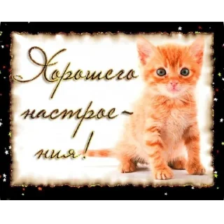 Sticker туристическое @pron21plus - 4