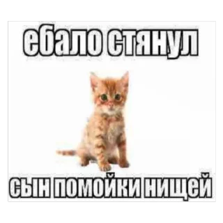 Sticker туристическое @pron21plus - 3