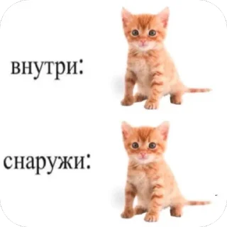 Sticker туристическое @pron21plus - 2