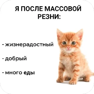 Sticker туристическое @pron21plus - 5