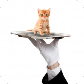 Sticker туристическое @pron21plus - 1