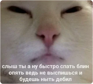 Sticker ЭТО МОЯ ЖИЗНЬ - 5