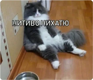 Sticker ЭТО МОЯ ЖИЗНЬ - 4