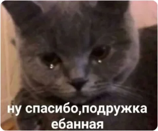 Sticker ЭТО МОЯ ЖИЗНЬ - 9