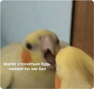 Sticker ЭТО МОЯ ЖИЗНЬ - 3