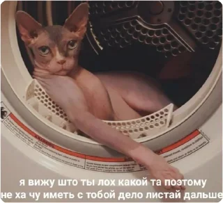 Sticker ЭТО МОЯ ЖИЗНЬ - 6