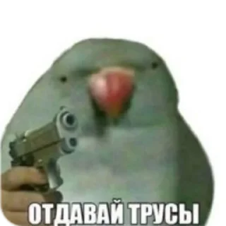 Sticker ЭТО МОЯ ЖИЗНЬ - 1