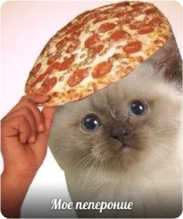 Sticker ЭТО МОЯ ЖИЗНЬ - 2