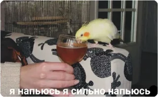 Sticker ЭТО МОЯ ЖИЗНЬ - 7