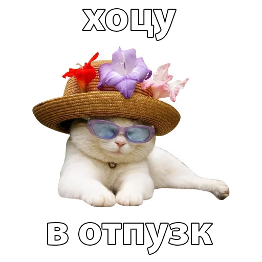 flower cat text