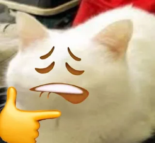 Sticker котиська (@/uamusicandcats) - 1