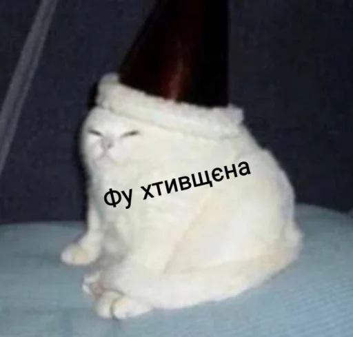 котиська (@/uamusicandcats) - 