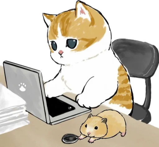 cat laptop computer