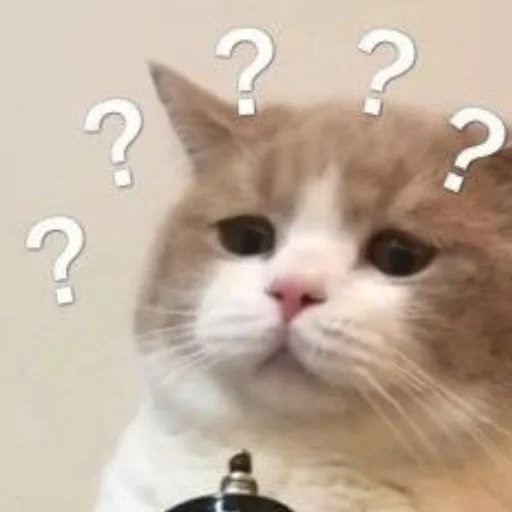 Sticker cats (*/ω＼*) - 9