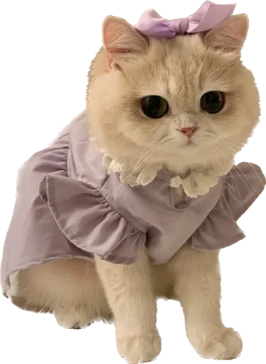 Стикер kotyata_nevduplyata - 1