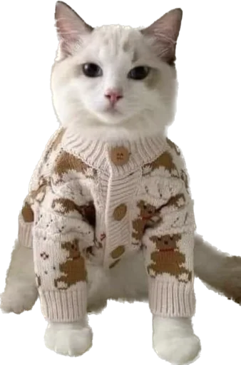 Sticker kotyata_nevduplyata - 1