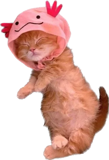 Стикер kotyata_nevduplyata - 1