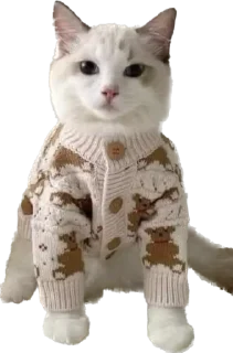 Sticker Котёныши-невдуплёныши by 🍓@wbmesale🍓 - 5