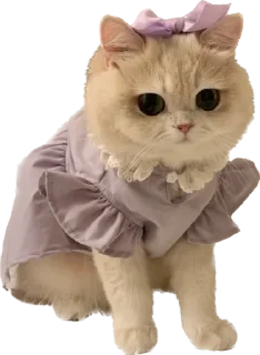 Sticker Котёныши-невдуплёныши by 🍓@wbmesale🍓 - 6