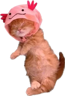 Sticker Котёныши-невдуплёныши by 🍓@wbmesale🍓 - 3